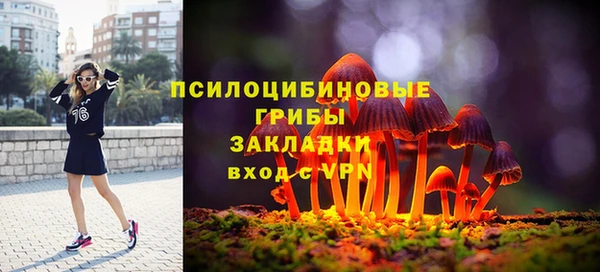 крисы Алексеевка