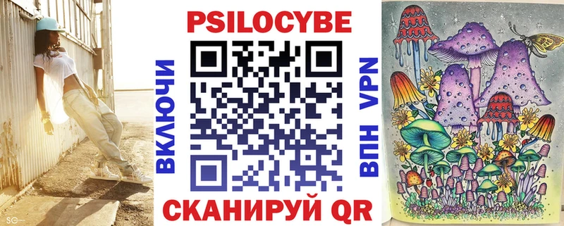 Галлюциногенные грибы Psilocybe  гидра сайт  Бакал 